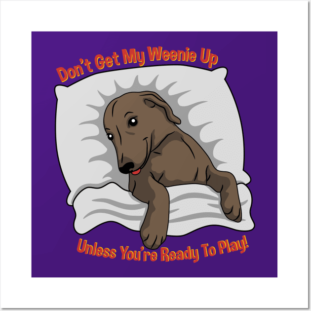 Don't Get My Weenie Up Wall Art by Weenie Riot